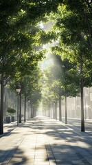 Obraz premium A serene urban pathway lined with lush trees, basking in soft sunlight. This peaceful setting invites leisurely strolls and reflects nature's beauty amidst city life.