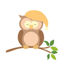 an owl sleeping on branch