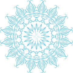 Beautiful flower art and mandala vector design