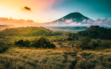 Nature landscape tropical island with scenery rice field and volcano on nature background
