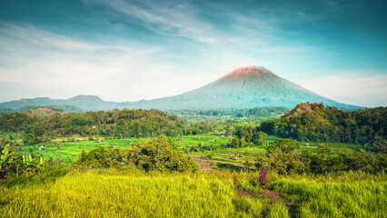 Nature landscape tropical island with scenery rice field and volcano on nature background