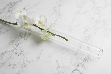 Single orchid stem inside a transparent delivery tube, on a marble surface