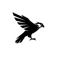 Black Silhouette of a Hawk in Flight with Wings Spread
