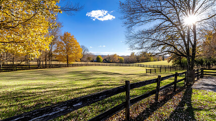 A beautiful sunny day in a field with a fence and trees. generated using AI