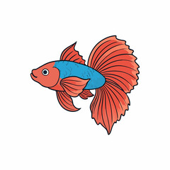 vector illustration of a betta fish