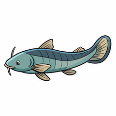 cartoon channel catfish