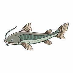 cartoon channel catfish