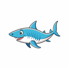 shark vector illustration