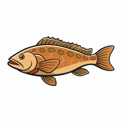 fish on a white background