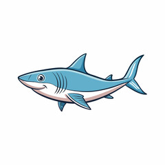 shark vector illustration