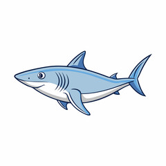 shark vector illustration