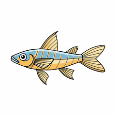 vector illustration of a rasbora fish