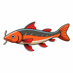 catfish isolated on white background