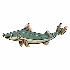 vector illustration of a fish