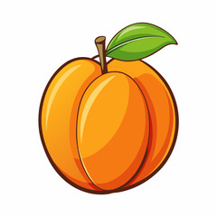 apricot isolated on white