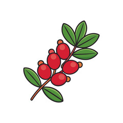 barberries with leaf