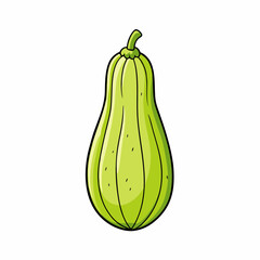 chayote squash fruit cartoon on a white background
