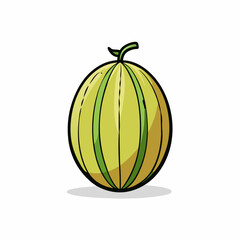 melon isolated on white background