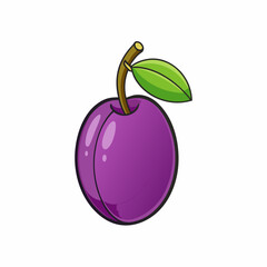 vector illustration of a damson plum
