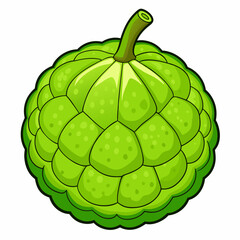 vector illustration of an apple
