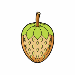 vector illustration of an apple