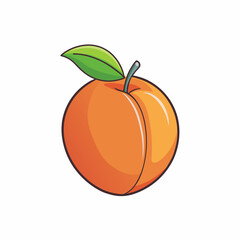 fruit, food, pumpkin, orange, illustration, apple, halloween, vector, ripe, autumn, leaf, vegetable, healthy, nature, fresh, citrus, plant, sweet, apricot, harvest, vegetarian, holiday, green, diet, j