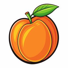orange vector illustration