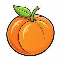 vector illustration of orange fruit