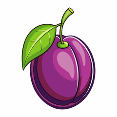 vector illustration of plums