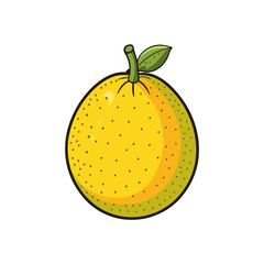 vector illustration of an orange