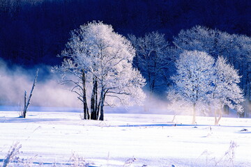 川霧と霧氷（更別村） © itoh masako