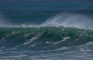 A cresting green faced wave driven by an approaching cyclone or hurricane, is trailing wind blown spray as it storms in to Snapper Rocks at Coolangatta on the Gold Coast in Queensland, Australia.