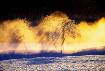 彩りの川霧（更別村） © itoh masako