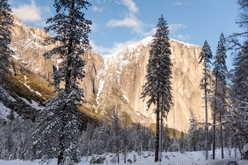 View from the snow-covered valley floor in Yosemite national park during golden hour, just before...