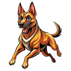 A dynamic action shot of a Belgian Malinois dog mid-stride, muscles tense, tongue out, showcasing its athleticism and breed characteristics.