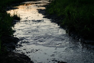 A serene view of a flowing stream surrounded by lush green grass during sunset, creating a tranquil atmosphere in nature. Ideal for outdoor themes.