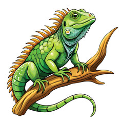 A vibrant green iguana, basking in sunlight, perched gracefully on a thick tree branch.  Bright green scales are clearly visible.