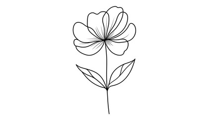 A flower is drawn in black and white