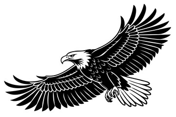 Eagle black vector illustration isolated on a transparent background