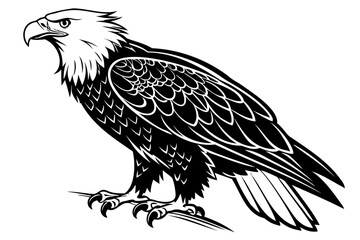 High-Quality Black Eagle Vector Art – Perfect on Transparent Background