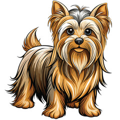 A majestic Yorkshire Terrier with exceptionally long, silky, flowing fur stands proudly, showcasing its elegant coat.