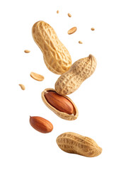 falling peanut isolated on a white background.png