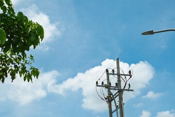 A utility pole with electrical wires and insulators against a bright blue sky with scattered clouds, alongside a street lamp and tree branches.