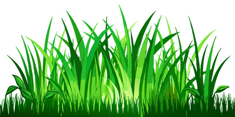 Fototapeta premium Green Grass Meadow Border | Natural Decorative Vector