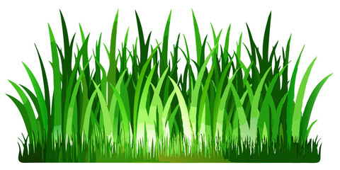 Fototapeta premium Green Grass Meadow Border | Natural Decorative Vector