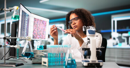 Scientist Looking At Test Tube