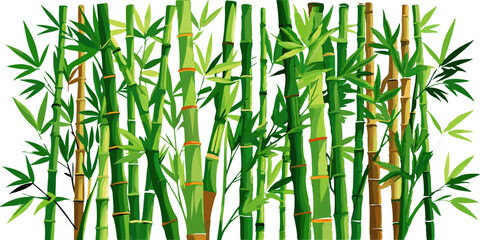 Bamboo Harmony: The Elegant Beauty of Nature's Strength
