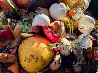 Kompost mit Essensabfälle - Recycling zu Erde
