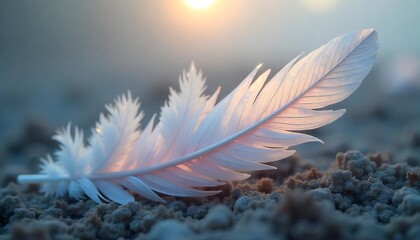 Naklejka premium A delicate white feather resting gently on the ground in sunlight