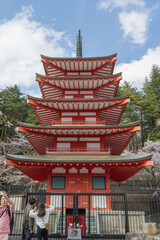 Fujiyoshida, Yamanashi, Japan - APR 17, 2024: Arakura Fuji Sengen Jinja Shrine. Mt Fuji with red pagoda in cherry blossom sakura in spring season .